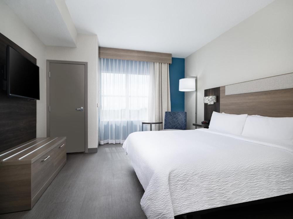 One-Bedroom King Suite with Sofa Bed interior